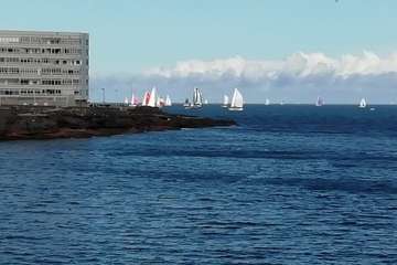 Un día espléndido despide a su paso por la costa Telde a los tripulantes de la Regata ARC (Foto Jesús Ruiz Mesa y Miguel Santana)